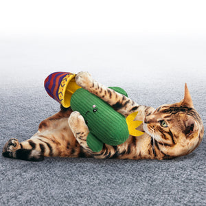 KONG Wrangler Cactus Cat Toy - RSPCA VIC