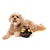Fuzzyard Plush Dog Toy Quackie Chan - RSPCA VIC