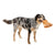 Fuzzyard Plush Dog Toy Dog Boot - RSPCA VIC