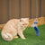 Kazoo Flying Mouse Wand Cat Toy - RSPCA VIC