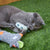 Kazoo Squinty Sheep Cat Toy - RSPCA VIC