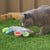 Kazoo Crinkle Mouse Cat Toy - RSPCA VIC