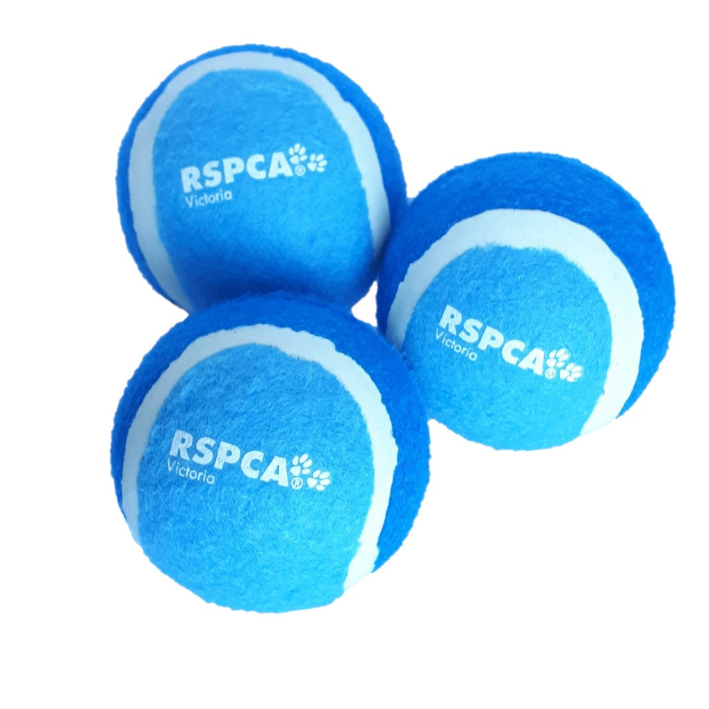 RSPCA Tennis Ball Blue 3 Pack - RSPCA VIC