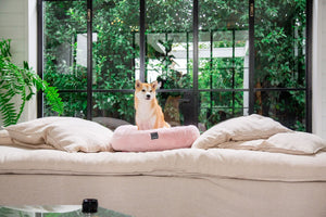 Fuzzyard Dreameazzzy Cuddler Bed - Lotus Pink - RSPCA VIC