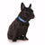 Friendly Dog Collars - TRAINING - S/M Clip Collar - RSPCA VIC